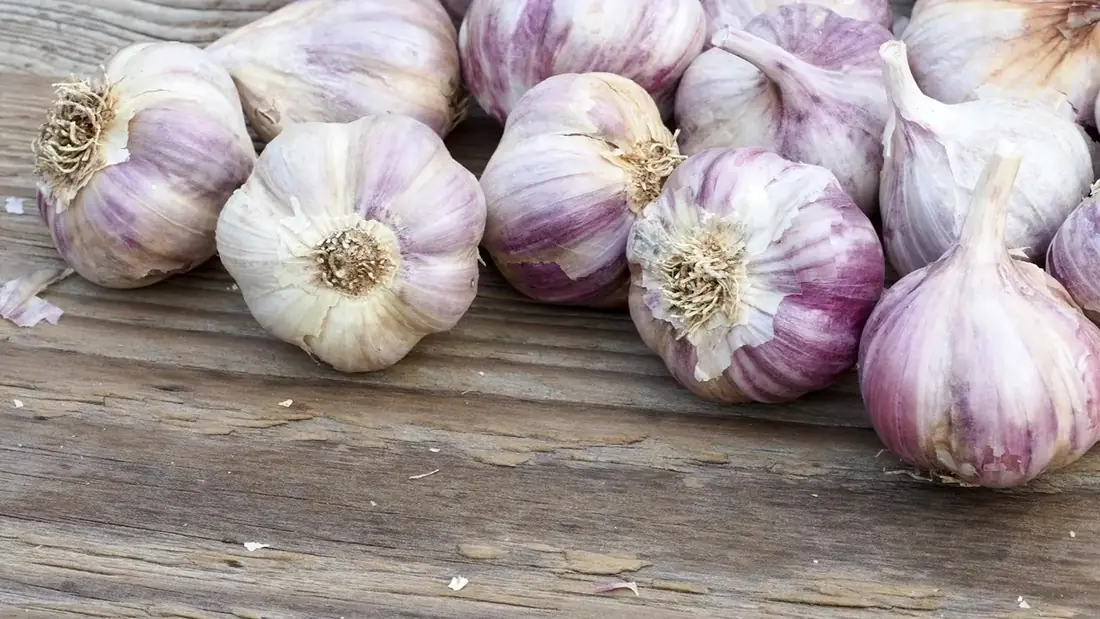 Whole garlic bulbs on a wooden board